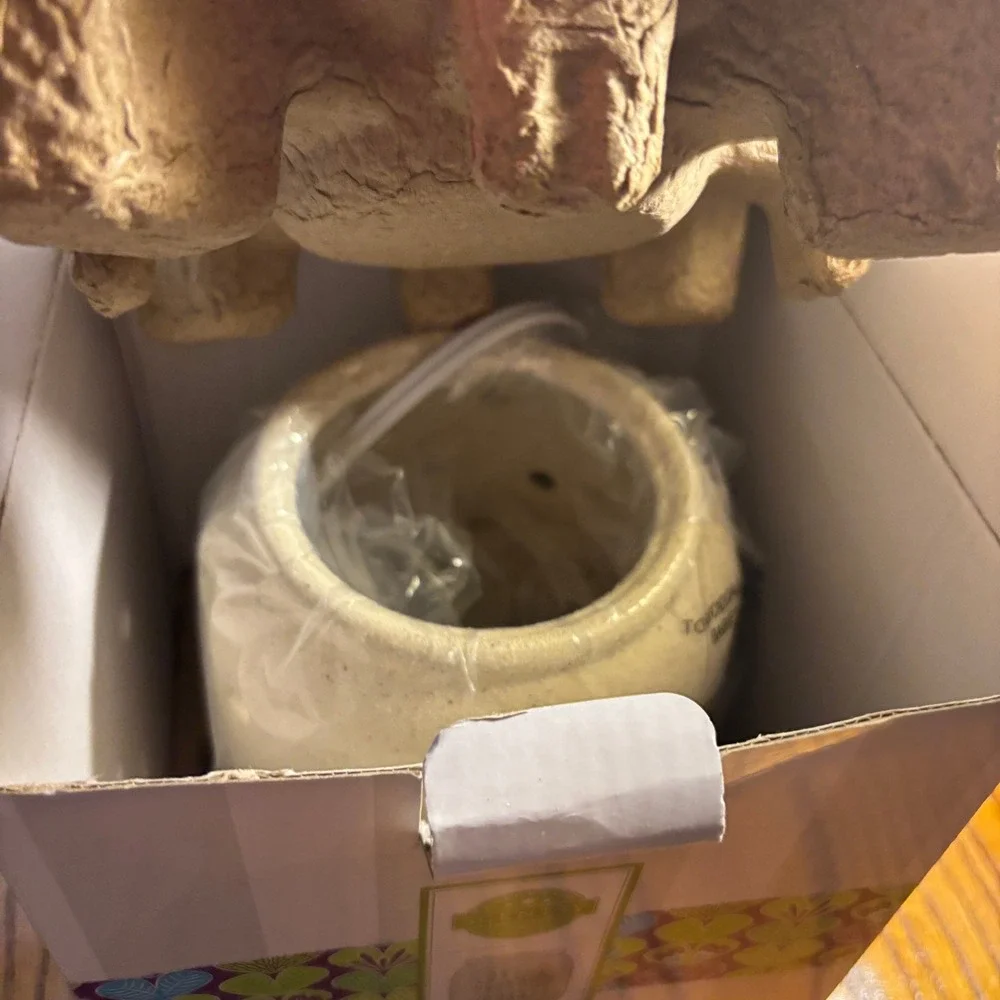 Scentsy authentic home
